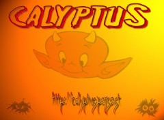 Wallpapers Brands - Advertising devil calyptus