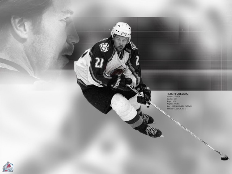 Wallpapers Sports - Leisures Hockey Wallpaper N69424