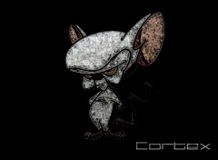 Wallpapers Cartoons Cortex