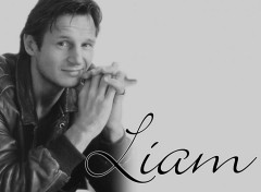 Fonds d'cran Clbrits Homme Liam Neeson