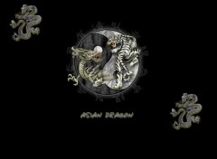 Fonds d'cran Art - Numrique Team Asian Dragon