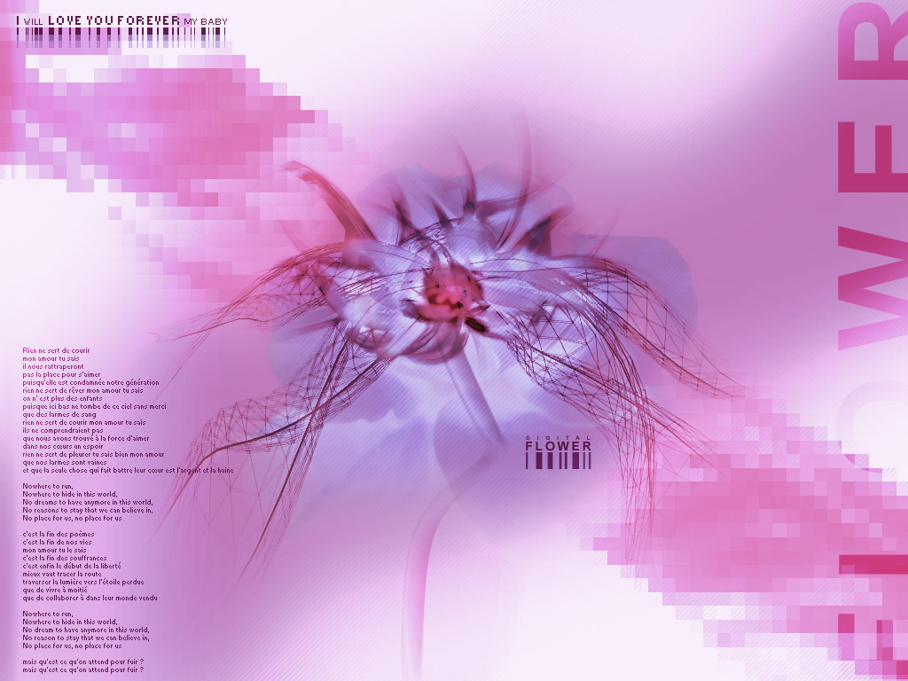 Wallpapers Digital Art Abstract :: Flower Of love ::