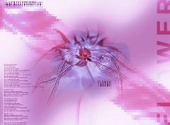 Wallpapers Digital Art :: Flower Of love ::