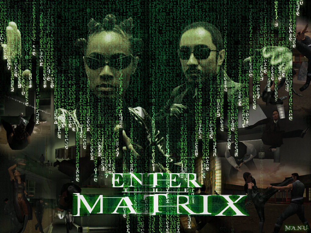 Fonds d'cran Jeux Vido Enter The Matrix Enter the game unplugged