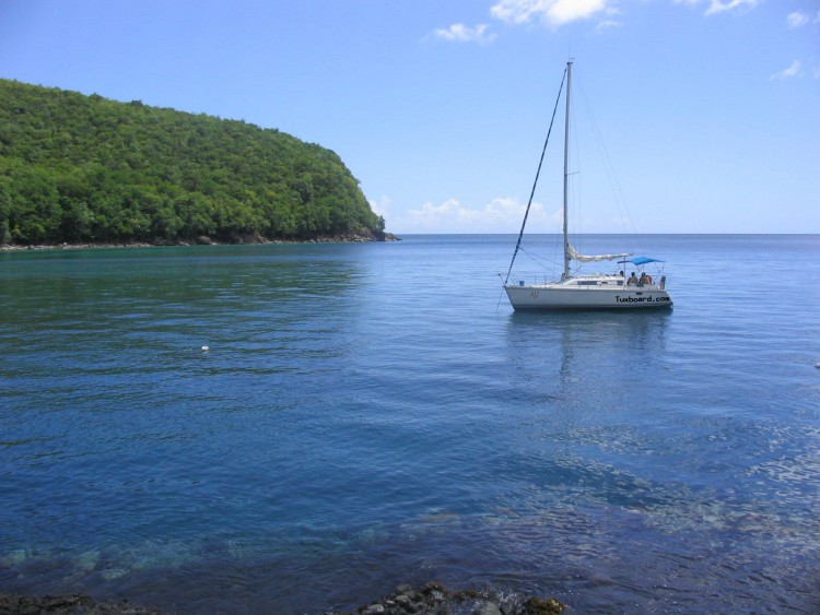 Fonds d'cran Bateaux Voiliers Madinina