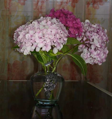 Wallpapers Nature Flowers Bouquet d'hortensia