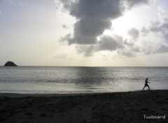 Fonds d'cran Nature Vers un couch de soleil