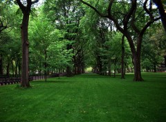 Fonds d'cran Voyages : Amrique du nord New York- Central Park