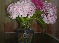 Wallpapers Nature Bouquet d'hortensia