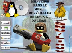 Fonds d'cran Informatique Linux&Co : Ca Dfonce !