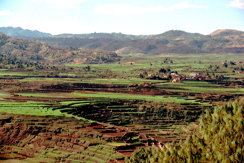 Fonds d'cran Voyages : Afrique Madagascar Risires des hauts plateaux