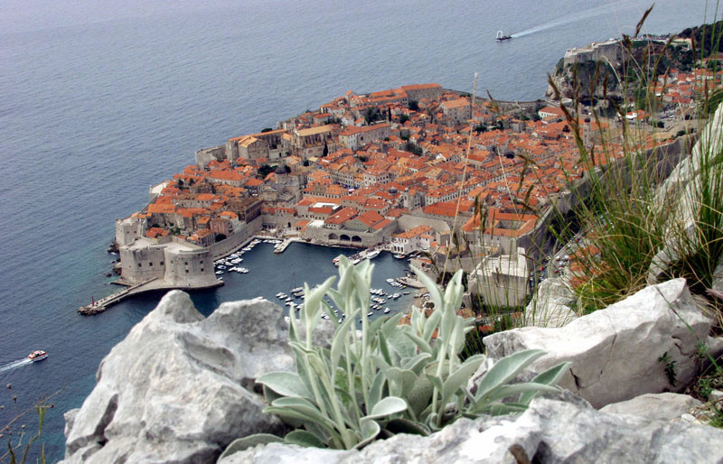 Fonds d'cran Voyages : Europe Croatie Dubrovnik