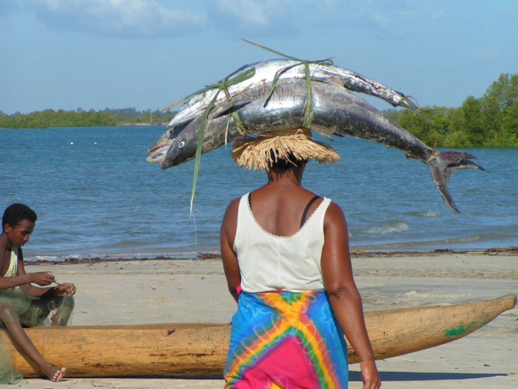 Fonds d'cran Voyages : Afrique Madagascar Femme vezo