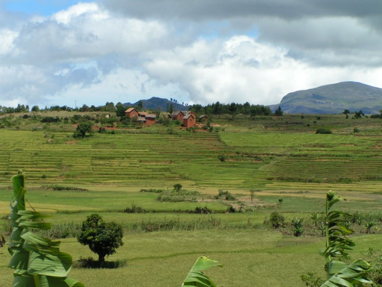 Fonds d'cran Voyages : Afrique Madagascar Risires