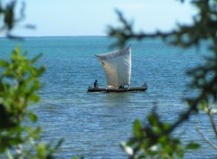 Wallpapers Trips : Africa Pirogue 2