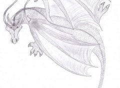 Wallpapers Art - Pencil Dragon lzard