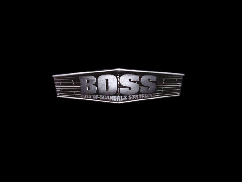 Fonds d'cran Musique Boss logo boss