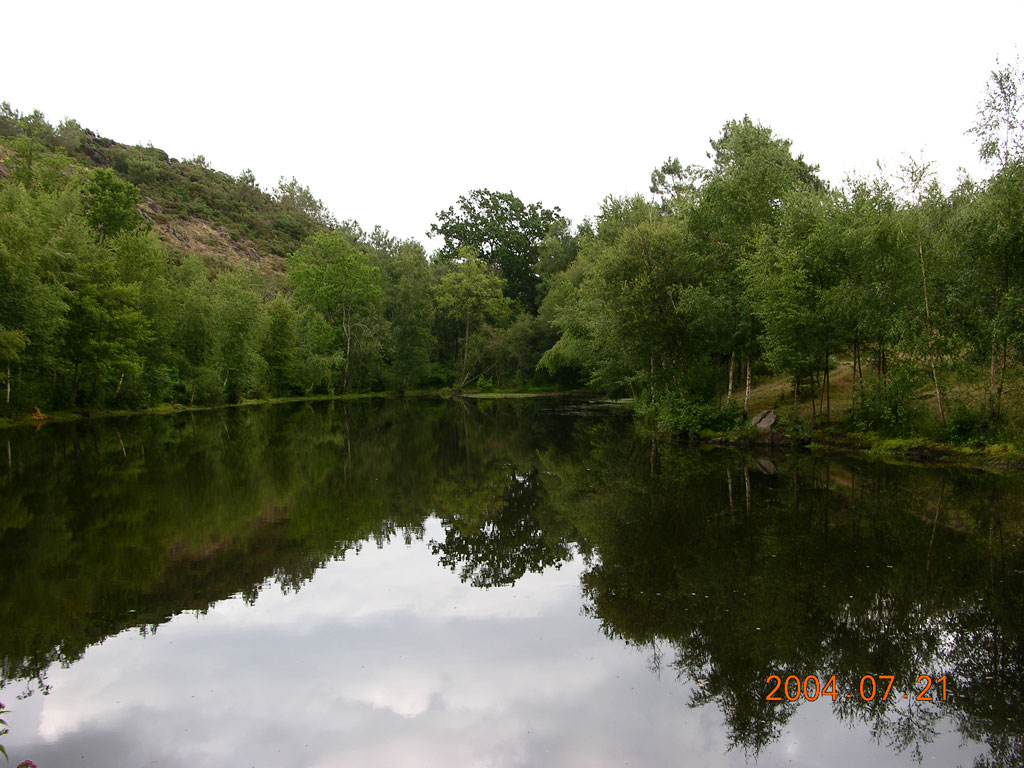 Fonds d'cran Nature Arbres - Forts Le Val sans Retour