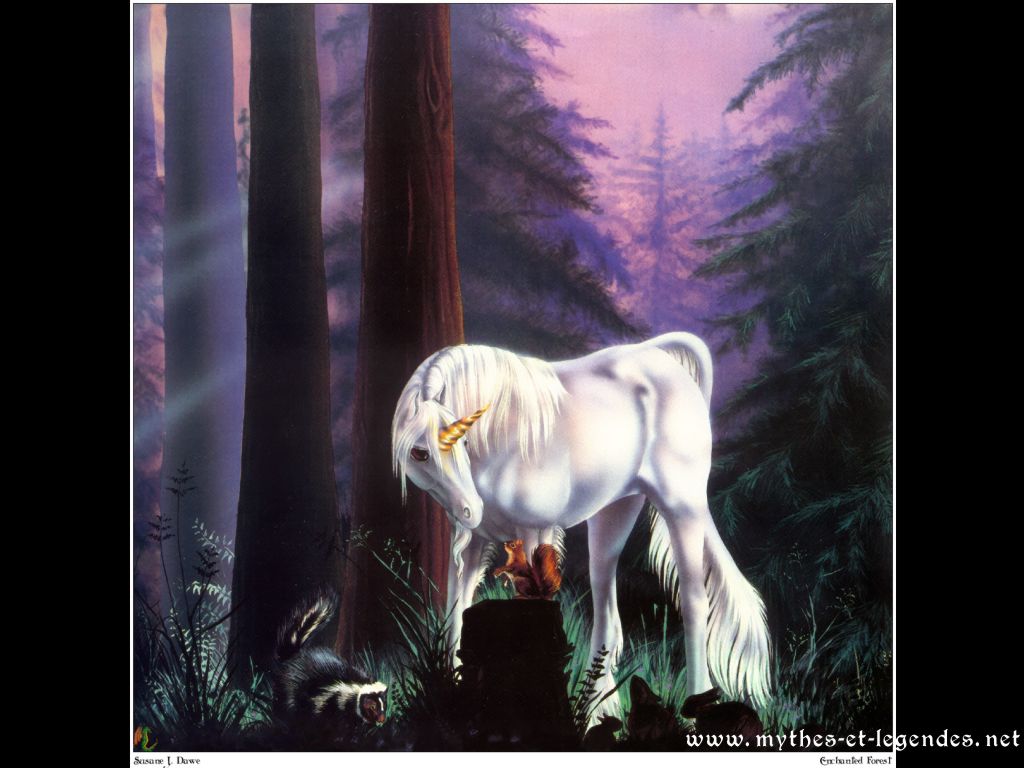 Wallpapers Fantasy and Science Fiction Creatures : Unicorns - Pegasus Licorne devant un cureuil