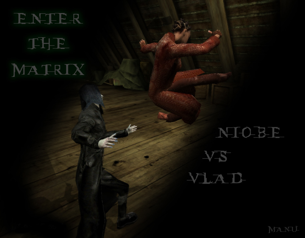 Fonds d'cran Jeux Vido Enter The Matrix Niobe vs vlad