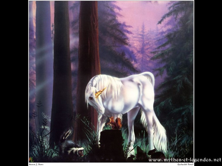 Wallpapers Fantasy and Science Fiction Creatures : Unicorns - Pegasus Licorne devant un cureuil