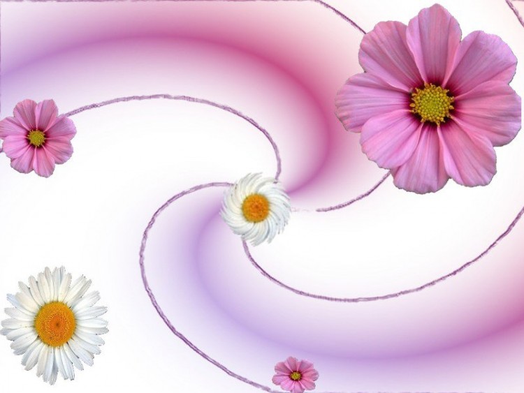 Wallpapers Digital Art Abstract Flowers