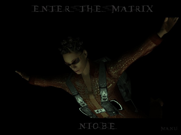 Fonds d'cran Jeux Vido Enter The Matrix Niobe