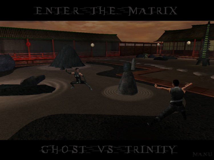 Fonds d'cran Jeux Vido Enter The Matrix Ghost vs Trinity