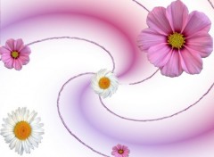 Wallpapers Digital Art Flowers