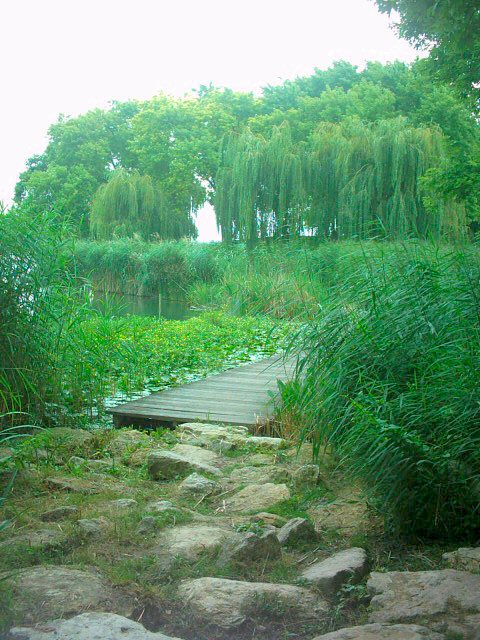 Fonds d'cran Nature Lacs - Etangs 