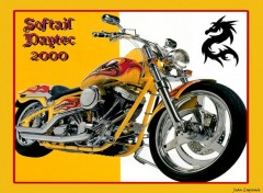 Fonds d'cran Motos Softail Daytec 2000