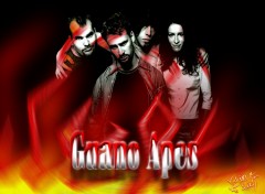 Fonds d'cran Musique Guano Apes