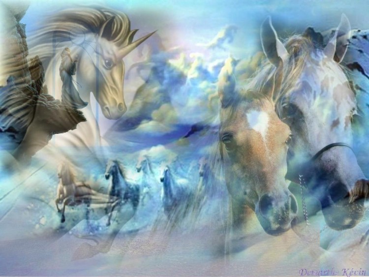 Wallpapers Animals Horses Les Chevaux