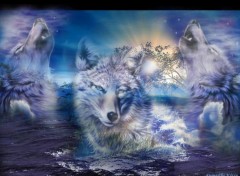 Wallpapers Digital Art Les Loups !!!