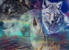 Wallpapers Digital Art Les Loups !!! 2