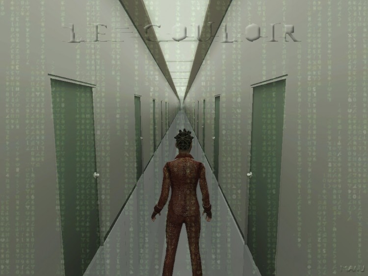 Wallpapers Video Games Enter The Matrix Le Couloir