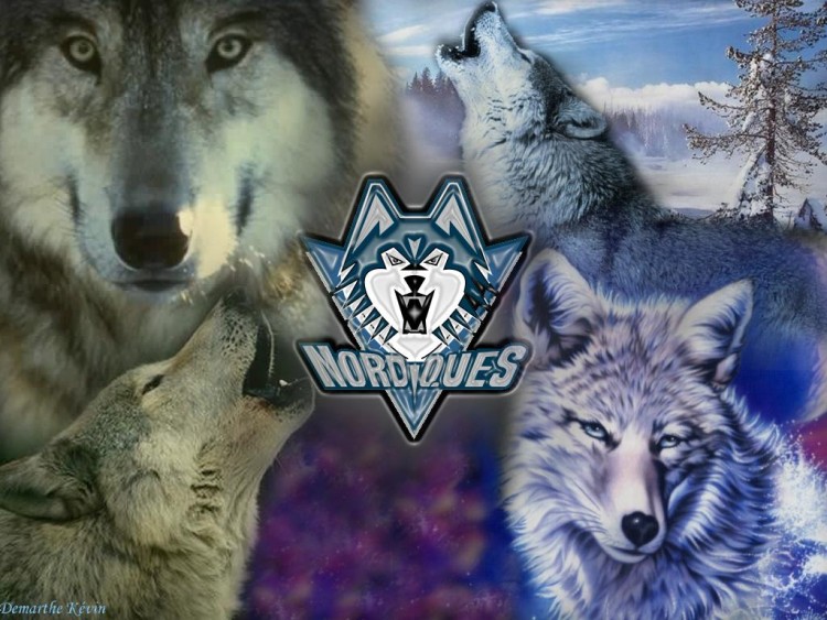 Fonds d'cran Animaux Loups Wallpaper N71521