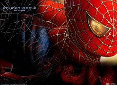 Fonds d'cran Cinma Toile spiderman 2