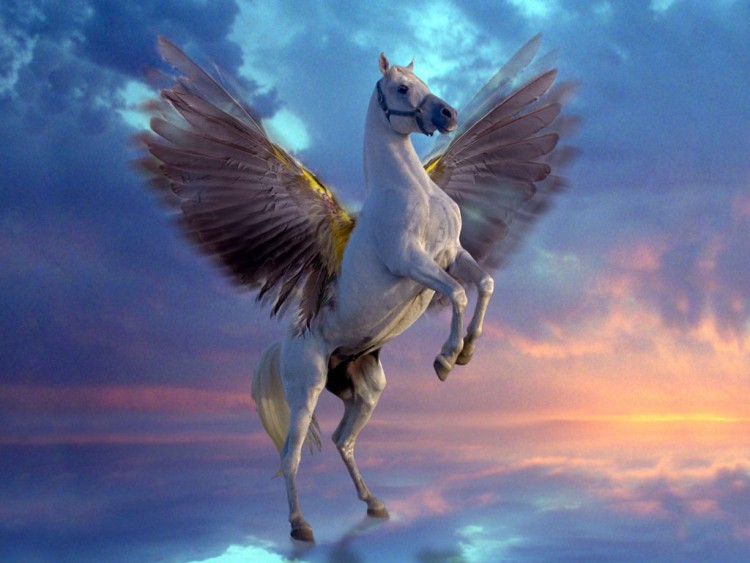 Wallpapers Fantasy and Science Fiction Creatures : Unicorns - Pegasus Wallpaper N72192