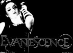 Wallpapers Music Amy Lee