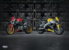 Fonds d'cran Motos buell