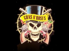 Fonds d'cran Musique guns n