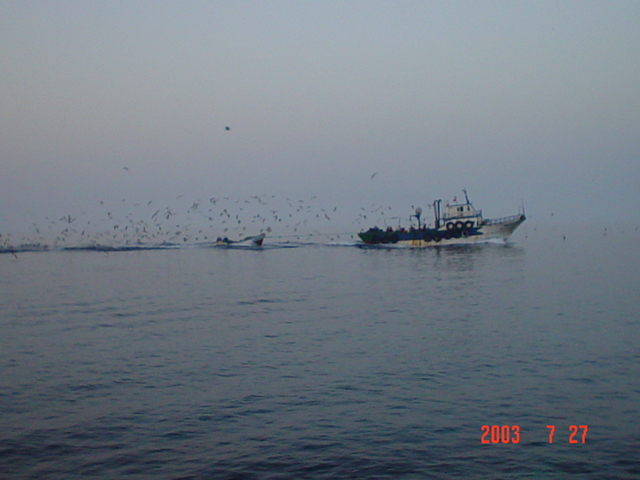 Fonds d'cran Voyages : Afrique Tunisie kelibia- tunisia