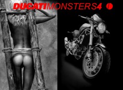 Fonds d'cran Erotic Art ducati