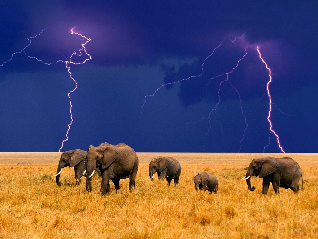 Wallpapers Nature Lightning 