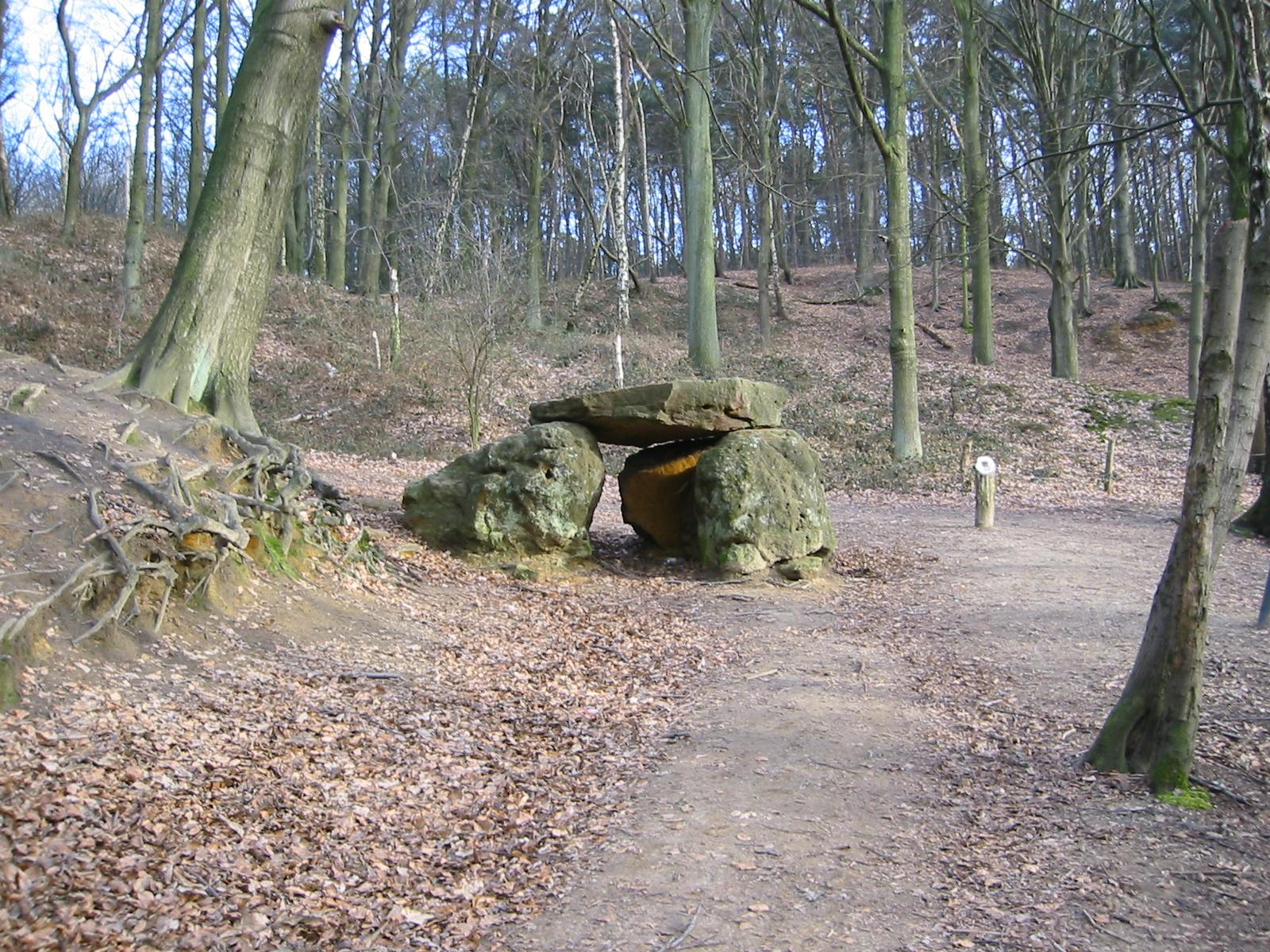 Fonds d'cran Nature Arbres - Forts 