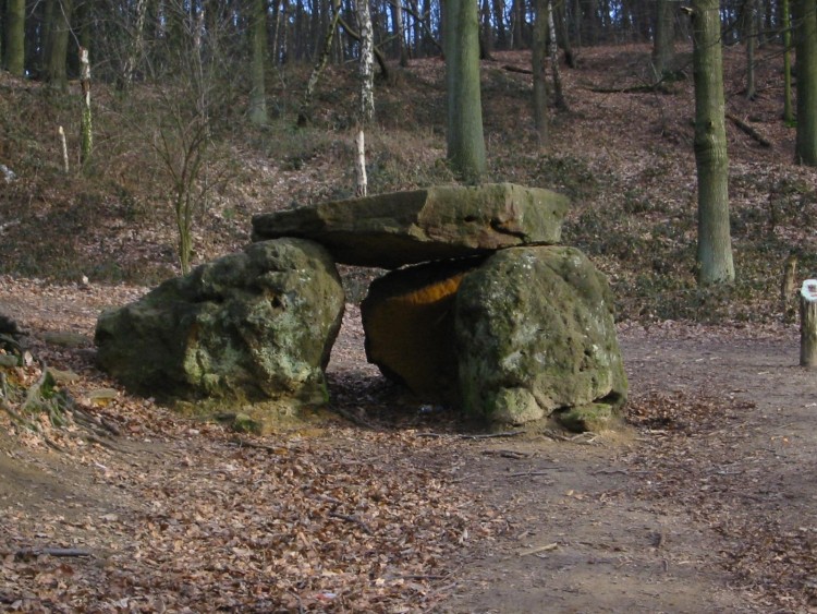 Fonds d'cran Nature Arbres - Forts mont de l'enclus