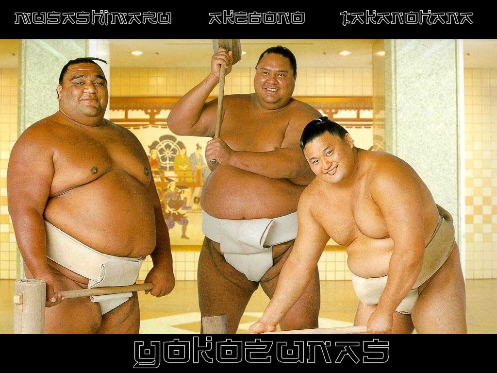 Wallpapers Sports - Leisures Sports - Misc Yokozunas