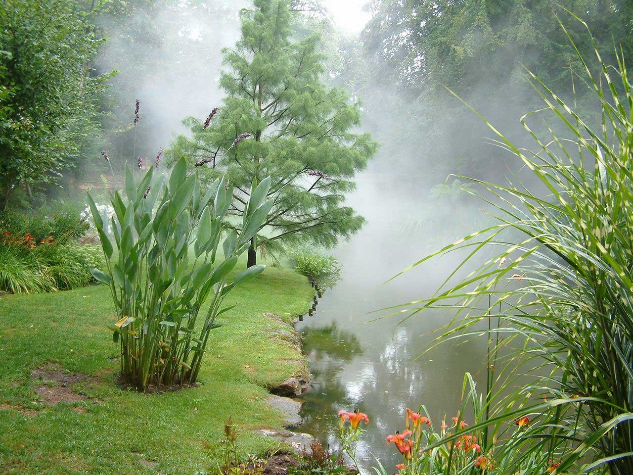 Wallpapers Nature Parks - Gardens Brume