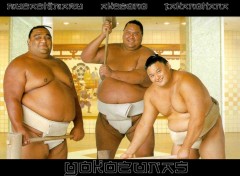 Wallpapers Sports - Leisures Yokozunas